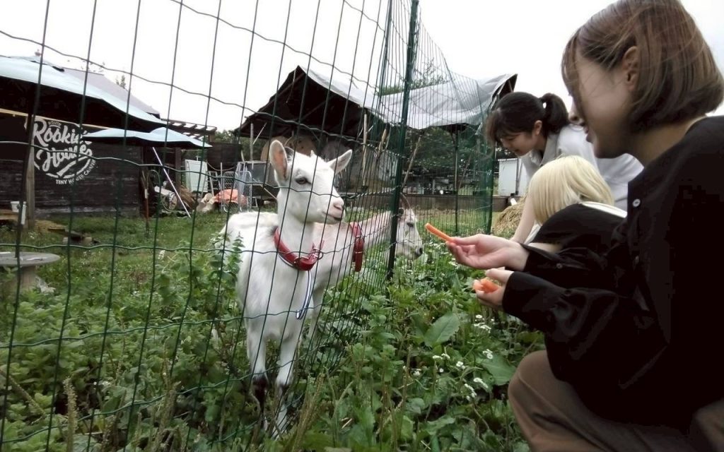 地域との交流の様子1