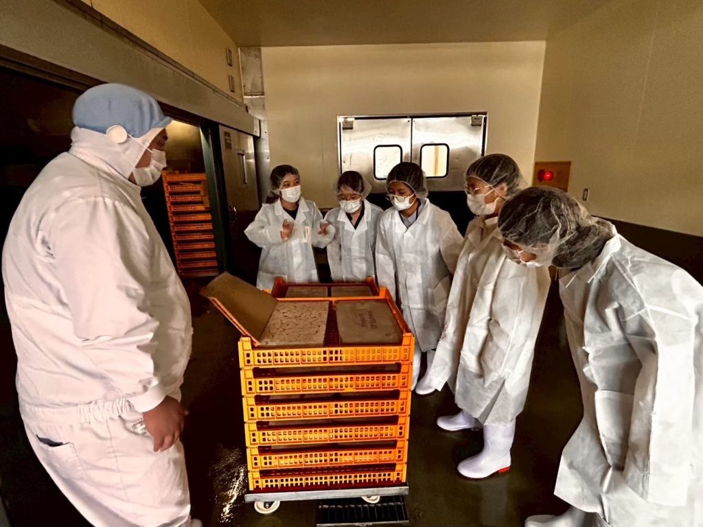 漁業と水産加工業見学